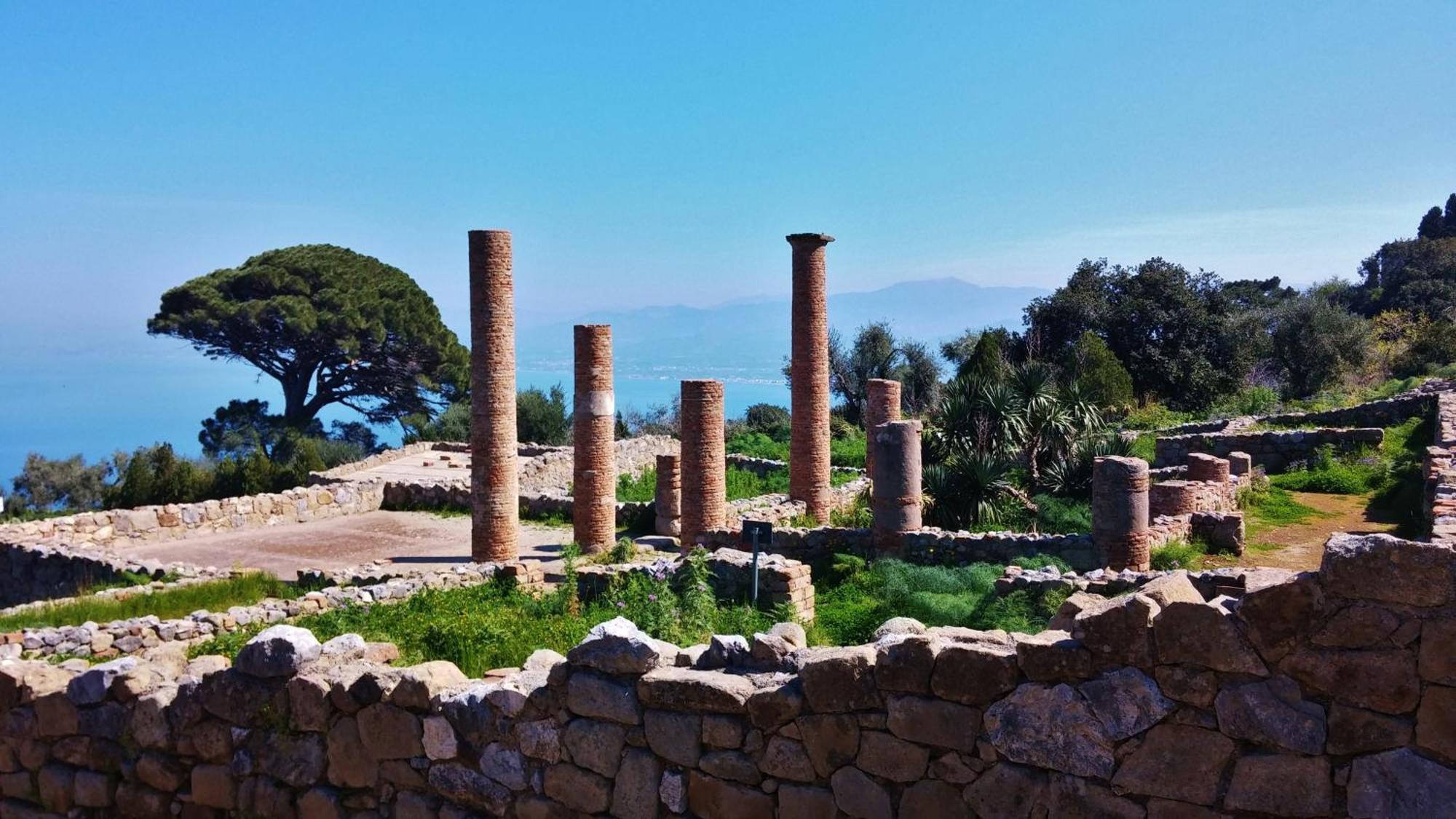 B&B Il Giardino Di Zefiro Джоїоза-Мареа Екстер'єр фото